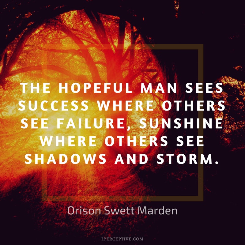 Orison Swett Marden Quote: The hopeful man sees success where others see failure, sunshine where others see shadows and storm. 